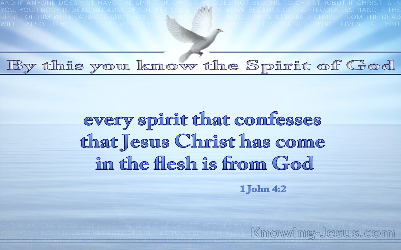 1 John 4:2 Jesus Christ Has Come In The Flesh (aqua)